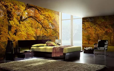 Design image panoramique